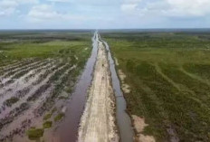 Dorong Multiplier Effect, Proyek Strategis Nasional Wanam Bersiap Jadi Motor Ekonomi Baru di Papua Selatan