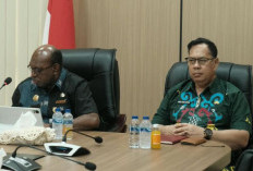 Kawal Penggunaan Anggaran, Pemprov Papua Selatan Perkuat Akuntabilitas Dana Otsus