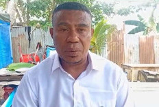 Lampu Hijau dari Menpan RB, Sinergi Lintas Lembaga Perjuangkan Nasib CPNS Papua Selatan