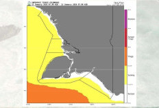 Waspada! Fenomena Tekanan Rendah di Australia Picu Gelombang Tinggi di Perairan Papua Selatan