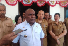 Merauke Masuk Rencana Kawasan Ekonomi Khusus, Fokus Produksi Padi dan Tebu