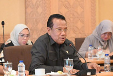 Pangan Nasional Terancam Karhutla Papua Selatan, Sulaeman L. Hamzah Desak Mitigasi Khusus