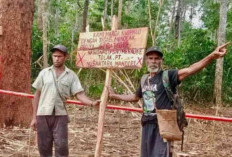Lumbung Pangan Merauke 2026: Ambisi Swasembada di Tengah Pertaruhan Ekologi Papua