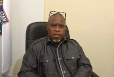 Soroti Pembangunan di Papua Selatan, MRP Ingatkan OPD: Perintah Gubernur Jangan Masuk Kiri Keluar Kanan