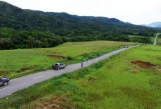 Hutama Karya Garap Jalan KSPP Wanam–Muting Segmen II untuk Perkuat Ketahanan Pangan Papua Selatan