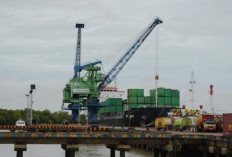 Arus Logistik Papua Selatan Melonjak, Pembangunan Depo Luar Pelabuhan Merauke Mendesak