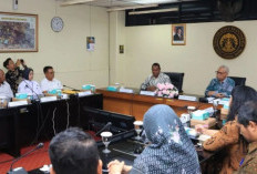 Perkuat SDM di Daerah Otonomi Baru, Pemprov Papua Selatan Gandeng Universitas Indonesia