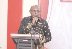 Perkuat Ekonomi Lokal, Pemprov Papua Selatan Bentuk TPAKD untuk Perluas Akses Keuangan Masyarakat