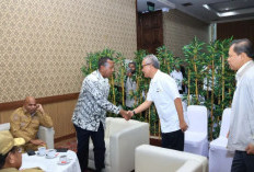 Anggaran Papua Selatan Terjun Bebas, Gubernur Apolo Safanpo Tagih Janji Tambahan Dana Otsus di Jakarta