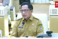 Mendagri Soroti Ketimpangan Kemiskinan di Papua: Papua Pegunungan Membaik, Papua Selatan Justru Meningkat