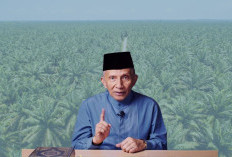 Kritik Keras Amien Rais Terhadap Rencana 'Sawitisasi' Papua Selatan: Singgung Nasib Petani dan Risiko Banjir