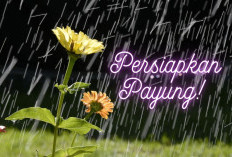 Waspada Hujan Merata di Indonesia: Simak Prakiraan Cuaca BMKG Jumat 27 Maret 2026