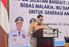 Pemprov Papua Selatan Perkuat Sinergi Lintas Sektor untuk Kendalikan Malaria dan Imunisasi