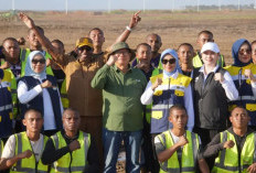 DAMPINGI SERUNI KMP! Sekda Papua Selatan Tinjau Proyek Tebu dan Pelatihan SDM di Merauke