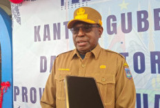 Mendesain Masa Depan Ekonomi: Pemprov Papua Selatan Perkuat Akses Keuangan Melalui TPAKD