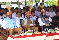 Pacu Pembangunan: Infrastruktur Jalan Papua Selatan Mulai Ditingkatkan