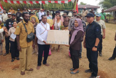 Pemprov Papua Selatan Sediakan 34 VSAT Starlink untuk Perkuat Akses Internet Sekolah di Wilayah 3T