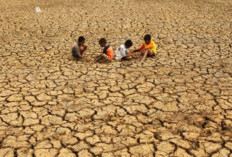 Dampak El Nino Papua Selatan Berkategori Kuat, BMKG Ingatkan Potensi Kekeringan Parah Hingga Oktober