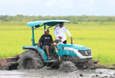 Papua Selatan di Puncak Risiko: Menilik Peta Kerawanan Pangan dan Ancaman Bencana 2026
