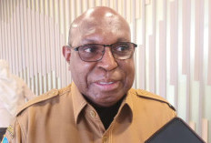 Respon Kebijakan Pusat, Pemprov Papua Selatan Siap Terapkan WFH Sepekan Sekali bagi ASN