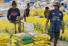 Bulog Papua Siapkan 4.100 Ton Beras: Komitmen Jaga Ketahanan Pangan di Tengah Tantangan Geografis