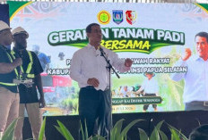 Pertanian Modern Merauke Sejajar Negara Maju, Pendapatan Petani Papua Selatan Melesat hingga 300 Persen