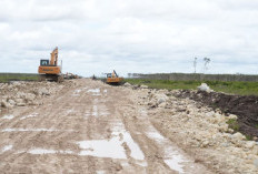 Target Panen 10.000 Hektare: Langkah Cepat Menteri PU Dody Hanggodo di KSPP Wanam Merauke