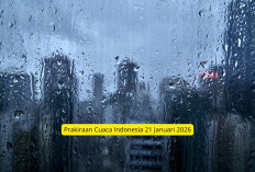 Waspada Dampak Siklon Tropis Nokaen: BMKG Ingatkan Potensi Angin Kencang di 14 Provinsi