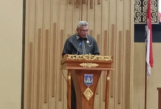 DPRP Setujui Perubahan APBD Papua Selatan 2026: Fokus Infrastruktur dan Catatan Kritis Banggar