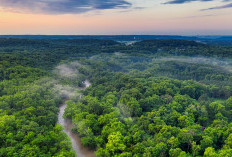Menguak Proyek Strategis Nasional di Papua Selatan: Antara Ketahanan Pangan dan Ancaman bagi Masyarakat Adat