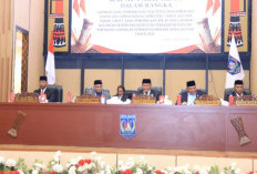 Pansus DPR Papua Selatan Kawal Rekomendasi BPK RI Demi Akuntabilitas Aset