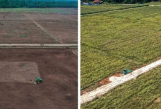 Menembus Rawa Papua: Progres Jalan Wanam-Merauke Kini Capai 58 Kilometer demi Lumbung Pangan