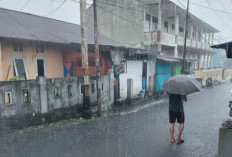 Waspada Hujan Ringan di Seluruh Wilayah Papua Selatan Hari Ini, Kelembapan Capai 99 Persen