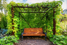 Taman Rambat: Solusi Cerdas Menghadirkan Keindahan di Lahan Terbatas