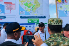 Jadi Pilar Ketahanan Pangan, Lahan Cetak Sawa Merauke Capai 48 Ribu Hektare untuk Swasembada Nasional