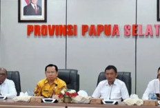 APBD Papua Selatan Turun Signifikan, Sekda Ferdinandus Soroti Efisiensi Fiskal dan Dana Otsus