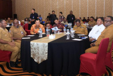 Pemerintah Provinsi Papua Selatan Siapkan Data Evaluasi Tiga Tahun Pembangunan Bersama DPR RI dan Kemendagri