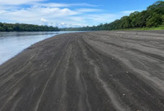 Keunikan Pasir Hitam Sungai Digoel: Pesona Alam Boven Digoel Papua Selatan Saat Musim Kering