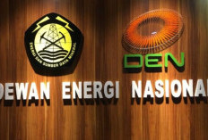 Akselerasi Transisi Energi: Pemprov dan DEN Matangkan Forum Energi Daerah Papua Selatan