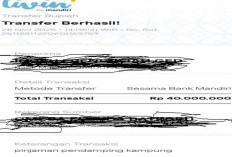 Dugaan Penggelapan Uang Rekanan: Oknum Pendamping Dana Desa Boven Digoel Dilaporkan ke Polisi