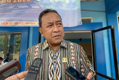 Antisipasi Kepadatan Jelang Hari Raya, Komisi II DPRD Papua Selatan Soroti Armada dan Kontainer