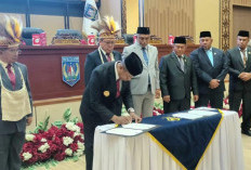 Ada Temuan Rp5,29 Miliar, BPK Beri Waktu Pemprov Papua Selatan 60 Hari untuk Berbenah