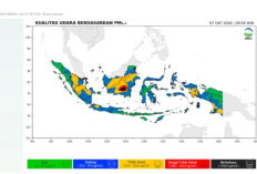 Ancaman Asap dan Kabut Lintas Batas Selimuti Papua Selatan, BMKG Imbau Warga Boven Digoel Waspada