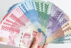 Papua Selatan Terima Dana Transfer Umum 2026 Rp 3 Triliun, Merauke Jadi Penerima Terbesar