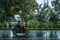 Waspada Cuaca Ekstrem Hari Ini: BMKG Ingatkan Potensi Hujan Lebat dan Angin Kencang di Sejumlah Kota Besar