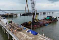 Demi Swasembada Pangan Nasional: Jhonlin Group Tegaskan Tak Hitung Untung Rugi di Proyek Food Estate Merauke