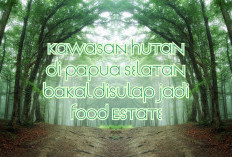 Pemerintah Lepas 451 Ribu Hektar Hutan di Merauke untuk Program Swasembada Pangan