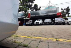 OJK: Papua Selatan Pimpin Pertumbuhan Piutang Pembiayaan Meski Industri Melambat