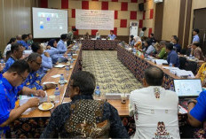 Langkah Maju Hak Keuangan DPR Papua Selatan: Pemprov Segera Rampungkan Pergub SSH