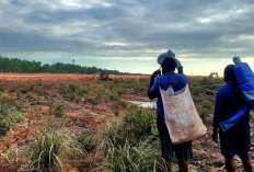 Menyibak Ketimpangan Komitmen Bebas Deforestasi dan Realita Proyek PSN di Papua Selatan